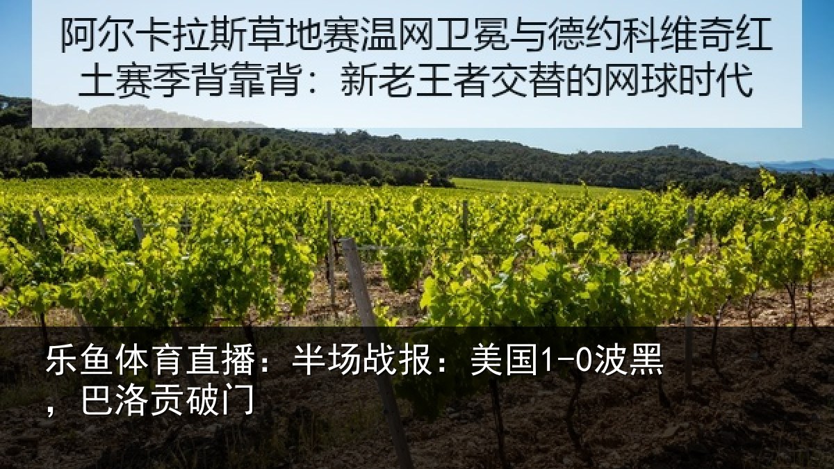 乐鱼体育直播:半场战报:美国1-0波黑,巴洛贡破门